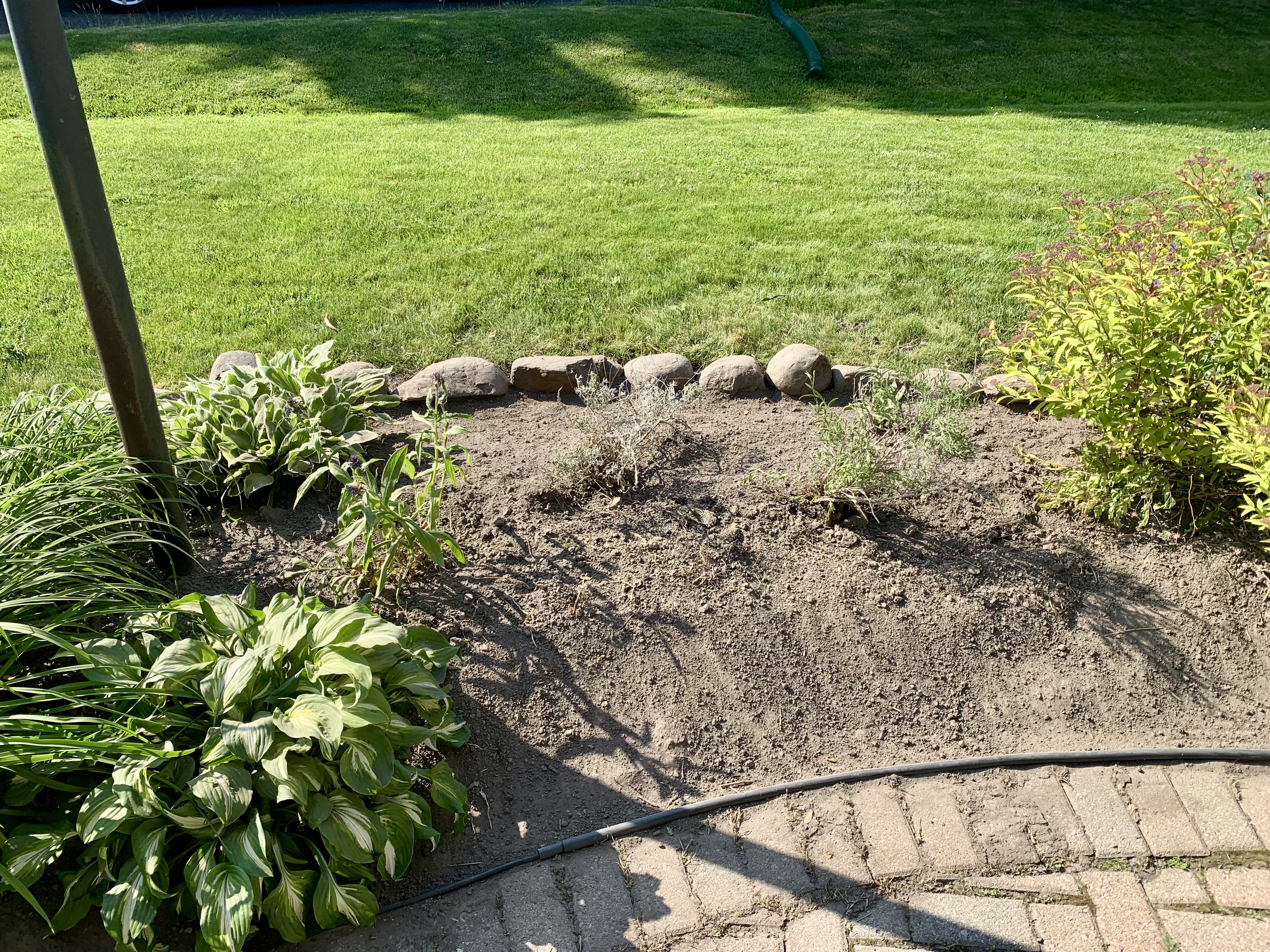 Garden Weeding project